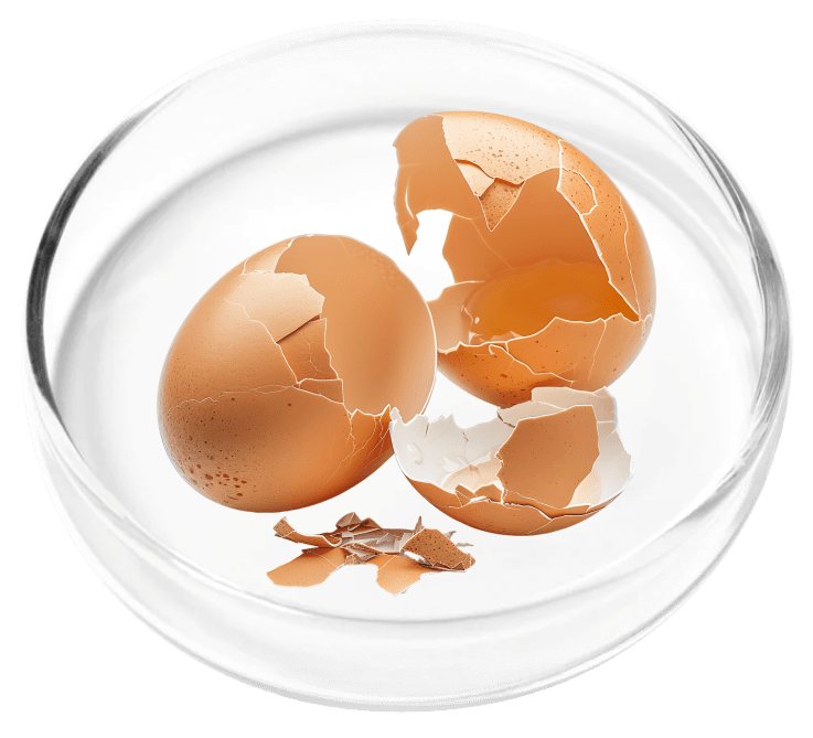 Vertiaid ingredient Pure Eggshell Collagen