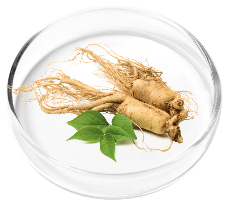 Vertiaid ingredient Ginseng Root Powder